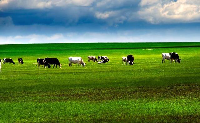 想带家人去草原自驾游，沈阳出发，推荐下一星期的路线？