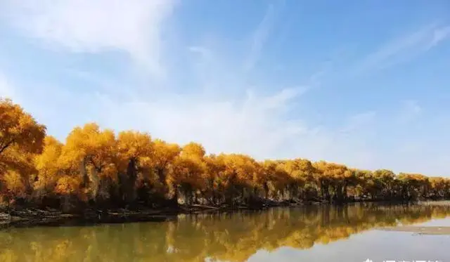 去新疆杨胡林好玩吗？