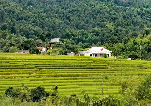 自驾游怎么玩才不累？