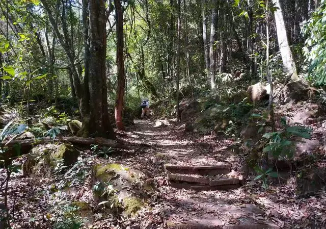 放假你计划要去云南哪个地方旅游？