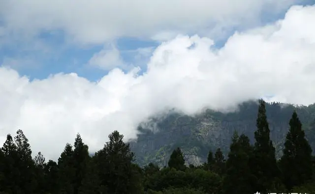 带孩子游玩弯弯有哪些攻略？