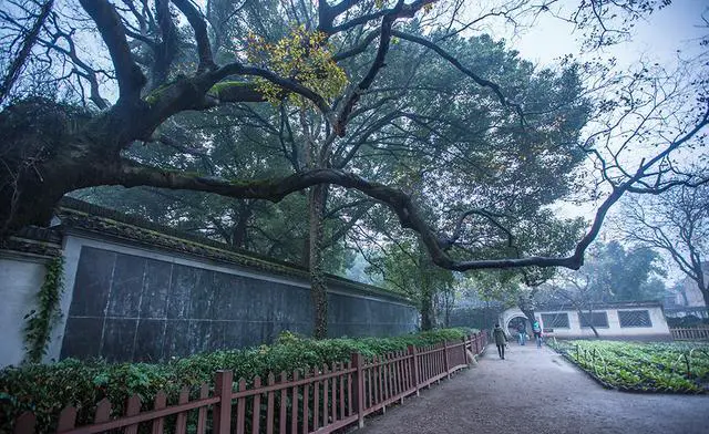 十一假期绍兴市鲁迅故里沈园人多吗？