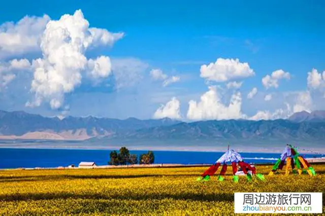 中卫去青海湖自己开车合适还是租车合适？