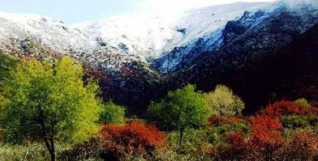 你去兰州旅行过吗？