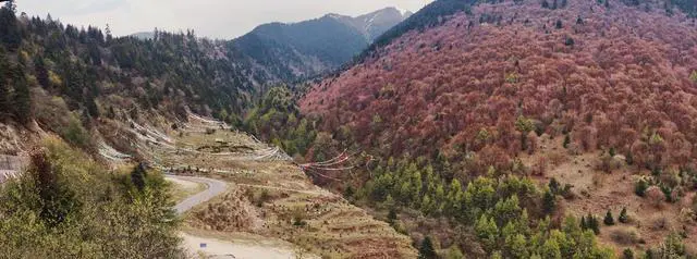 川藏线海拔高度示意图?川藏线海拔最高的地方是哪里