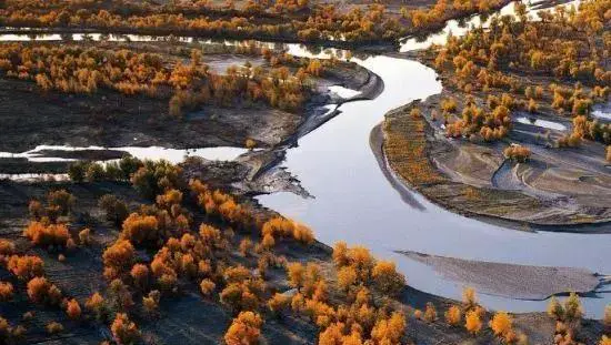 去新疆杨胡林好玩吗？