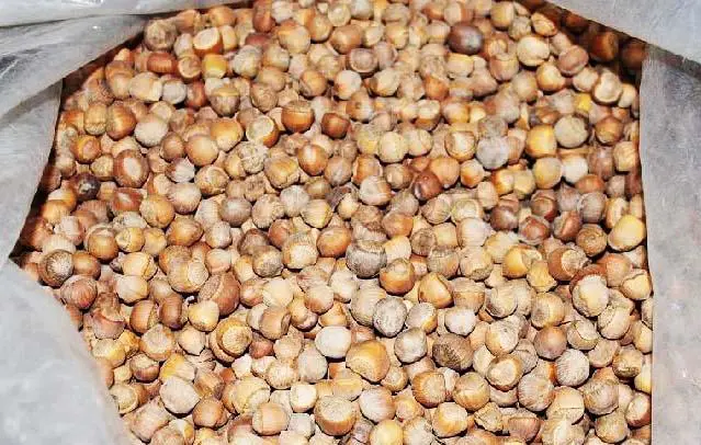 东北有哪些特产呢？