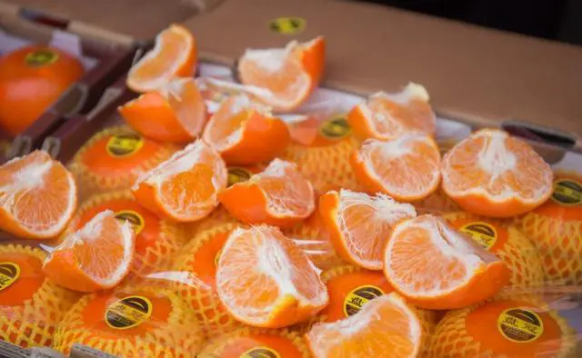 你觉得南宁怎么样？