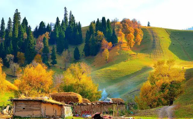 退休了，什么旅游方式最好？