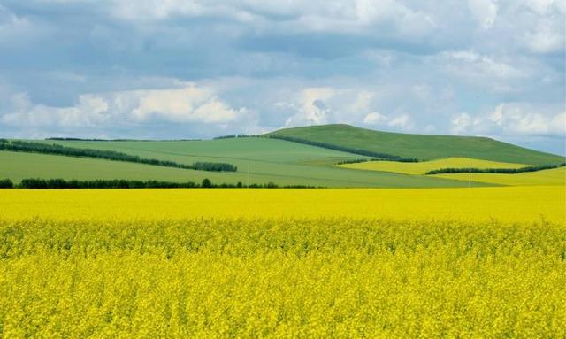 学生暑期可以跨省旅游吗？