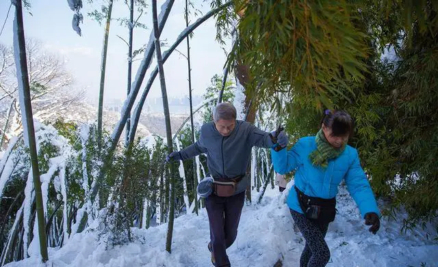 老年跟团去旅游容易被坑吗？