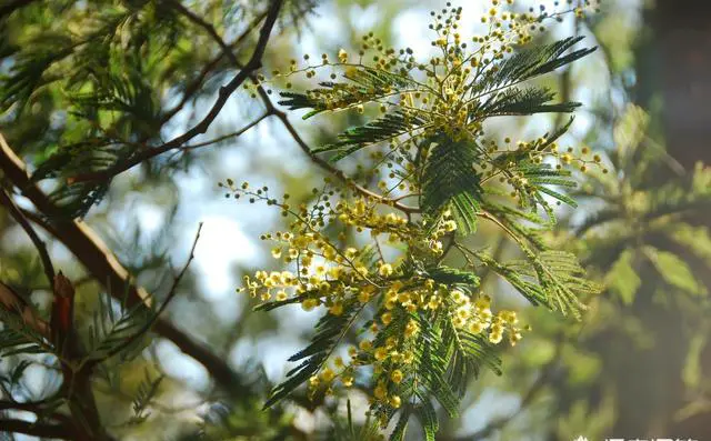 大家怎么看待现在年轻人喜欢排队？