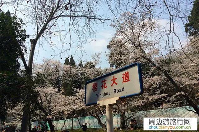 口罩结束后，你会去旅游吗，最想去哪?实际会去哪？