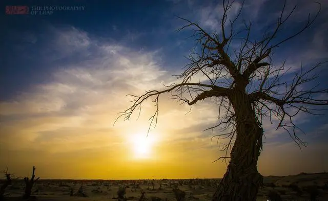 去新疆旅行多少天比较合适？