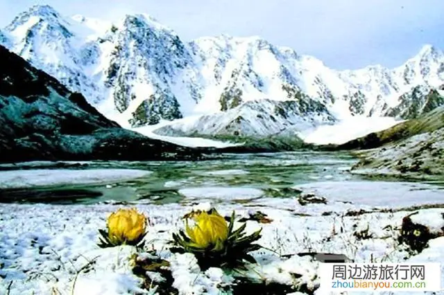 如果有一次免费旅游的机会，你会选择去哪里？