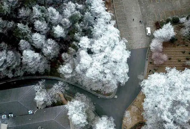 冬天宁波四明山上的雾凇漂亮吗？