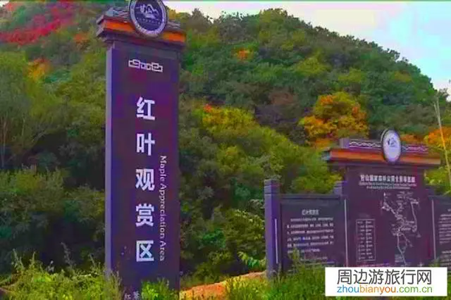 想去三门峡甘山森林公园看红叶，啥时候去合适？听说有野生红腹锦鸡，有机会拍到吗？