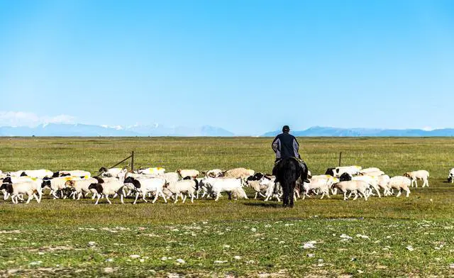 新疆的独库公路风景图