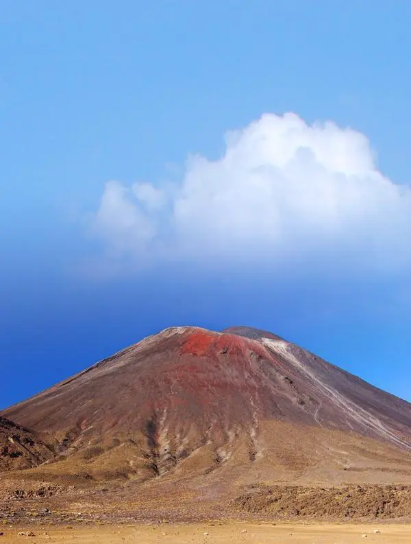 2021年，有哪些国家是免签的？