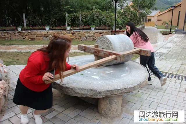 你们平时喜欢去哪里旅游？