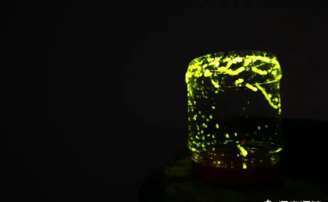 夏天,你感觉哪里的夜景最美,最值得一去?