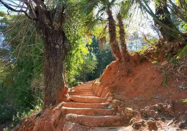 你们会在不同的季节里出去欣赏不同的风景吗？