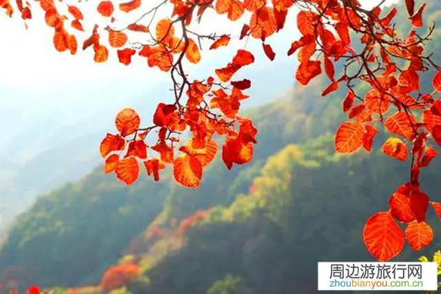 你觉得中秋假期适合去哪旅游？