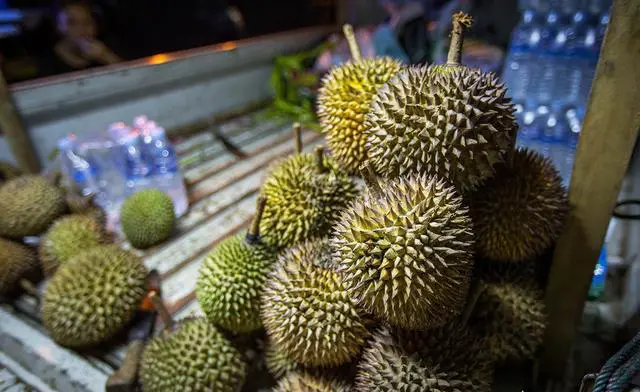 榴莲什么时候最好吃？去泰国吃榴莲的时间是什么时候？