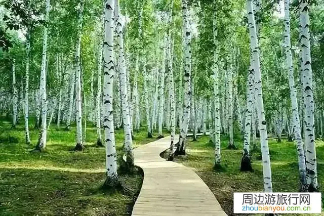 快暑假了，一家人国内旅游，一周左右的时间，有什么地方推介？