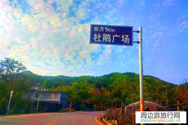 我国杜鹃花开最好的地方都有哪些？为什么？