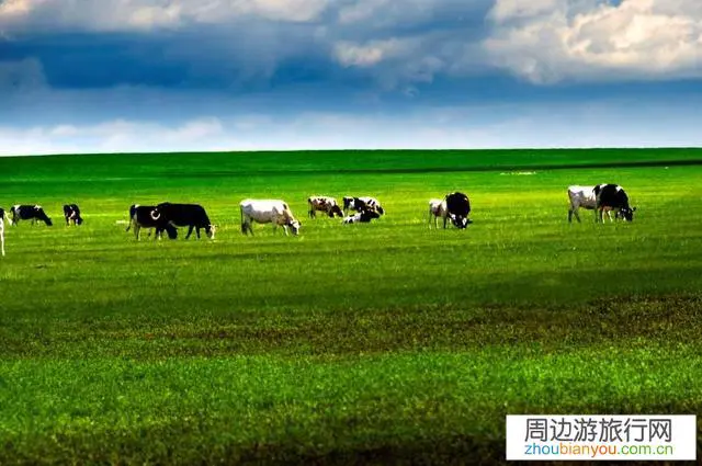 8月初去呼伦贝尔大草原自驾游，哈尔滨出发，求大神提供个路线？