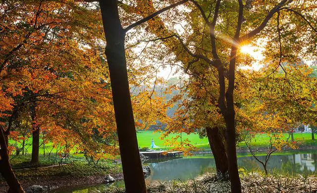 太子湾公园几月去最好？十月值得去吗？