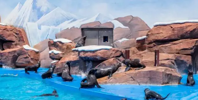 上海有哪些地方适合周末游？