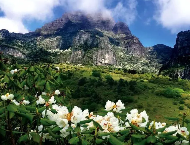 禄劝三江口温泉在哪里?禄劝三江口温泉好玩吗？