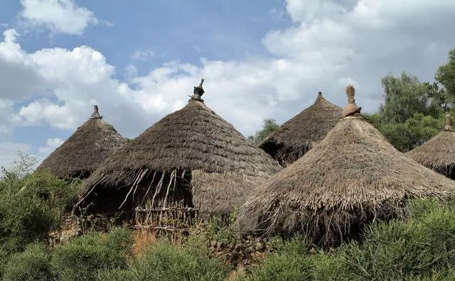 忤逆父母远嫁非洲，今回国求父母支助无果，什么办法可重获亲情？