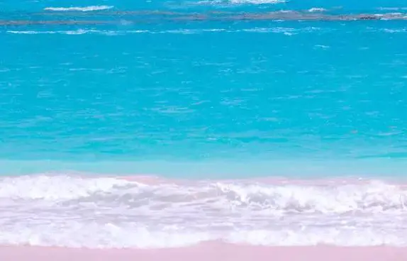 2021年，有哪些国家是免签的？