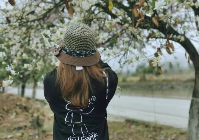 人为什么要旅游。旅游看什么?