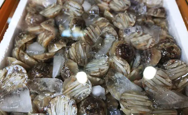 中国哪个城市更适合吃货旅行？