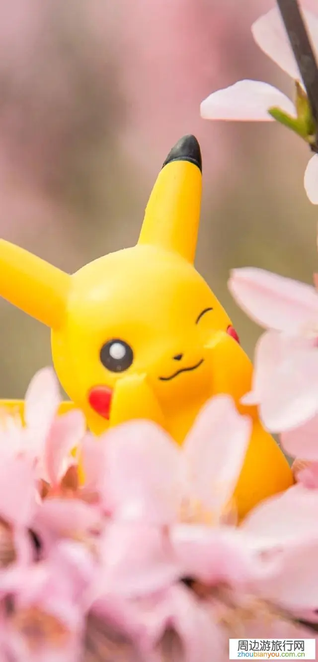 九华山好玩吗？