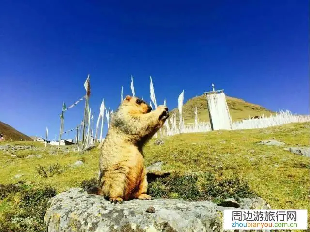 大家一个人的时候想过去旅游吗？