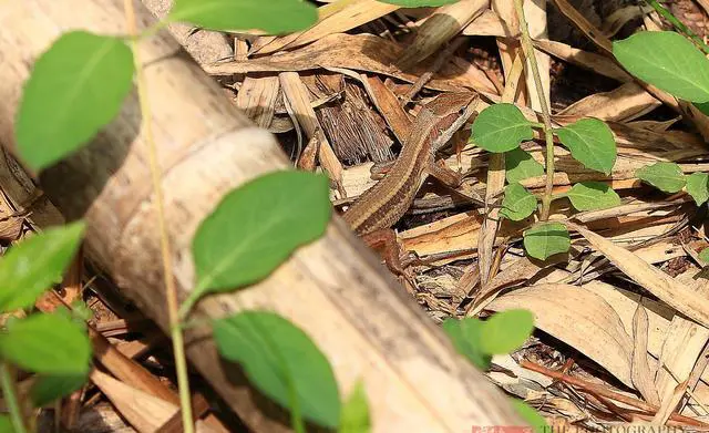 清明节适合去哪旅游？