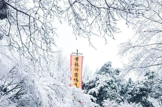冬天哪里的雪景比较好？
