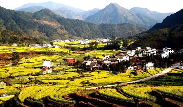 中国哪里有花海?国内花海旅游景点