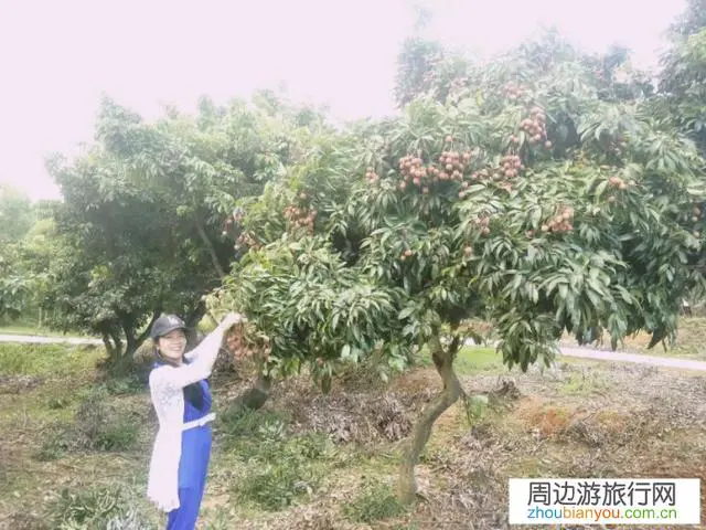 广东惠州罗浮山好玩吗？