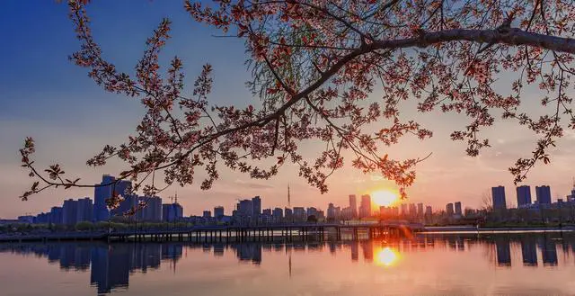 以下八个城市中,你会选择哪个城市定居?