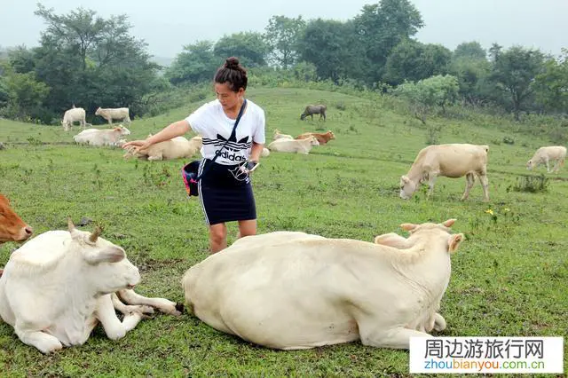 在旅游的过程中，你愿意与今日头条分享你的快乐吗？为什么？