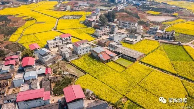 长沙免费旅游景点居然有这么多 你都去过吗