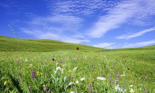 河北省蔚县有什么好玩的景点吗？