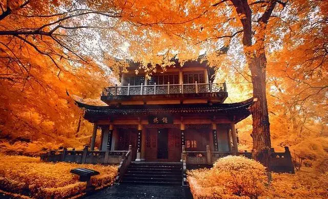 栖霞山的红叶什么时候去最好看?