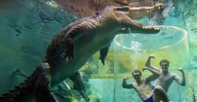 世界各地有哪些挑战内心极限的旅游景点呢？